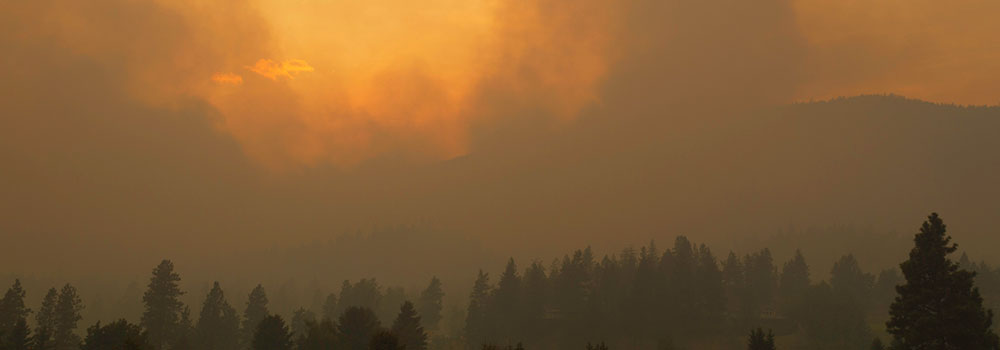 A smoky sky over a forested landscape, illustrating poor air quality and extreme heat conditions.