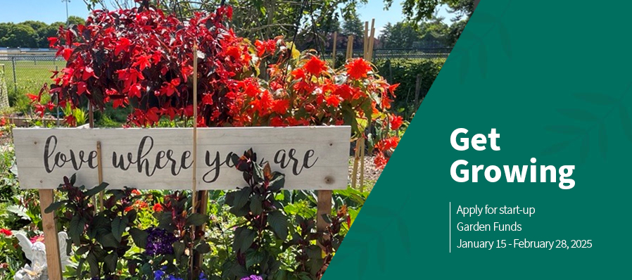 potted plant with red and green leaves with a sign reading "love where you are" in a banner saying "get growing, apply for start up garden funds Jan 15 - Feb 28, 2025"